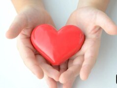 托德·梅多斯 (Todd Meadows) 已設立 GoFundMe