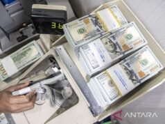 BI記錄2月份外匯存底下降至1,519億美元