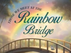 蘇珊·約翰遜的新書《同情,救贖》