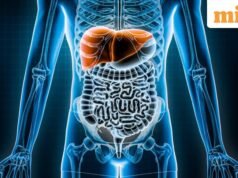 2026 年世界肝臟日:了解健康肝臟的主題、重要性和 4 個習慣