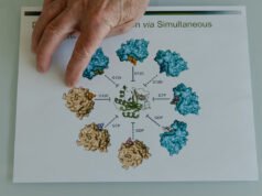 一個「不可能」的想法如何導致胰臟癌的突破
