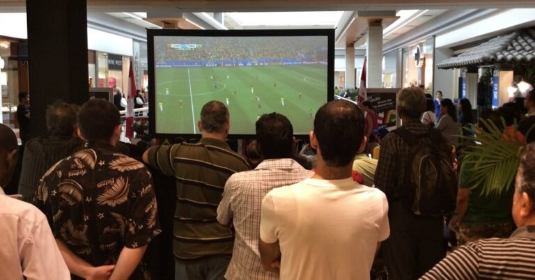 您打算在酒吧舉辦世界盃觀看派對嗎？ 「FIFA警察」正在潛伏