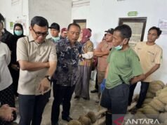 Barantin Parigi Moutong 協助優化榴槤出口質量
