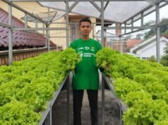 從狹小的閣樓建立食物獨立