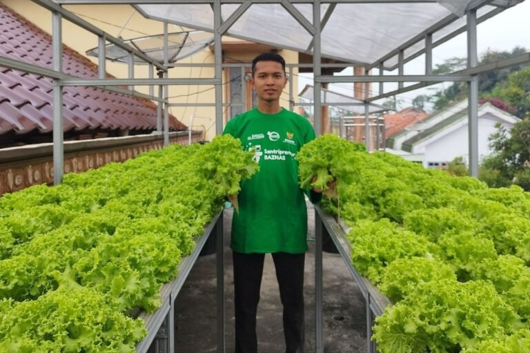 從狹小的閣樓建立食物獨立