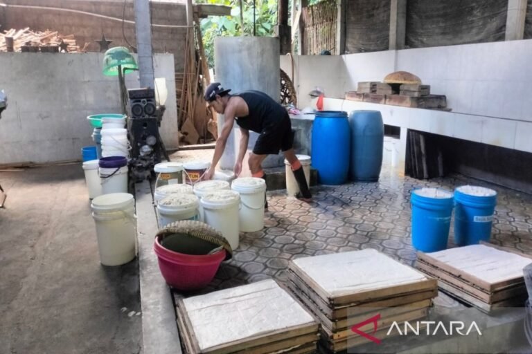 榮耀屬於不放棄的豆腐工匠