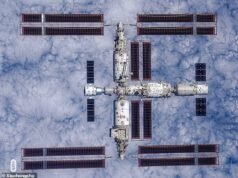 一步踏入太空:嬰兒:中國釋放“人造人類胚胎”,看看是否可以在零重力下繁殖