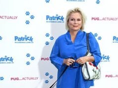 揭曉:今年英國最受歡迎的狗品種-蘇丹犬排名不斷上升