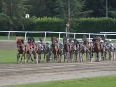西西里黑手黨、卡拉什尼科夫衝鋒槍、鞭子和被虐待的馬匹被警方查獲:西西里非法比賽的影片玷污了義大利和賽馬世界