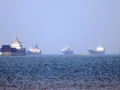 牽牛花:美國必須沿著霍爾木茲海峽建立非軍事區。