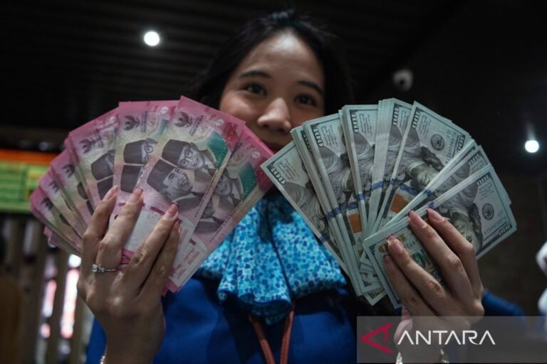 加強盧比穩定的“政治錨”