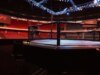 UFC 又裁掉 4 名拳擊手,其中包括 18-1 的傑出選手,名冊清洗仍在繼續