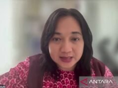 INDEF表示,DSI的成立可以增加國家的外匯