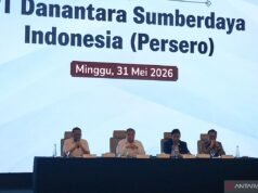 Danantara 強調 DSI 治理的透明度