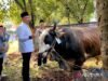 農業部和香港貿易投資局為 1447 年古爾邦節分發了 49 隻祭祀動物