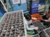 西亞緊張局勢影響印度汽車供應鏈,導致損失和價格上漲