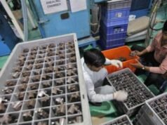 西亞緊張局勢影響印度汽車供應鏈,導致損失和價格上漲