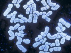 遺傳分數正在蓬勃發展。但反歧視法會涵蓋你的 DNA 嗎?