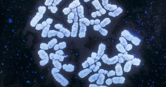 28sci-workplace-genes-facebookJumbo.jpg