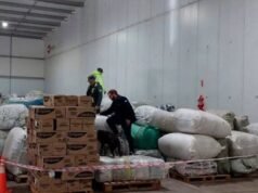 科爾多瓦:從薩爾塔百萬富翁手中查獲違禁品