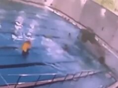70歲老太倒車後撞入泳池