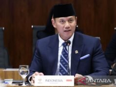IPK協調部長:政府持續監控巨型海堤項目