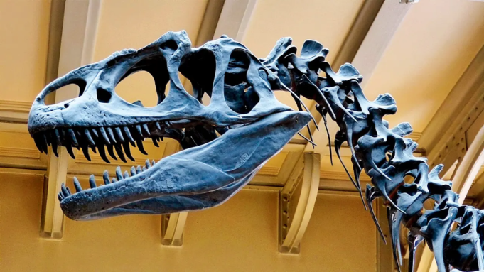 Dinos-1777824319336_d.png