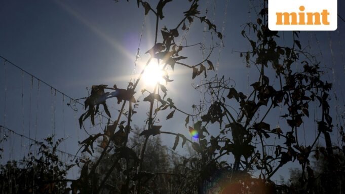El_nino_1681972847085_1776862161247.JPG