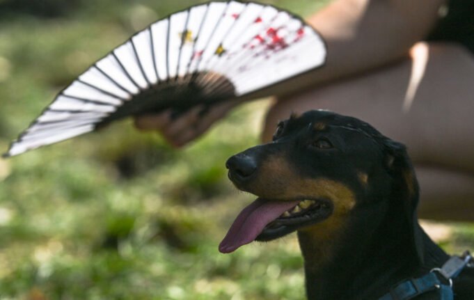 GettyImages-2170215342-1024x648.jpg