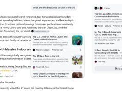 Google AI 模式和概述將突出顯示您首選的來源