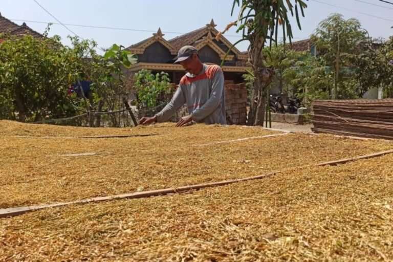 GAPPRI 對財政部長 Purbaya 不增加 2027 年 CHT 的政策表示讚賞