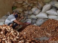 商務部:霍爾木茲海峽關閉導致可可豆價格上漲