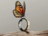 Thinner Oura Ring 5 終於獲得即時活動追蹤功能,價格上漲 50 美元