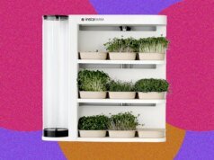 InstaFarm Microgreens 機器人室內花園評論:綠色很容易