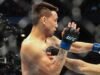 UFC之路:詩茗、容菊統治兩天賽事