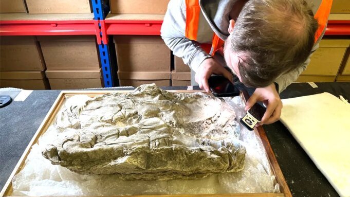 UK-YORK-PURPLE-DYE-ROMAN-BURIAL-HISTORY-ARCHAEOLOGY-DISCOVERY-1.jpeg