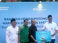 BSI準備了24,000隻祭祀動物,其中包括3T區域