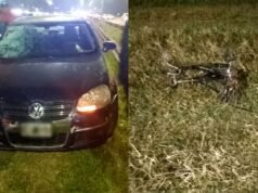 悲劇:9歲男孩騎自行車進入高速公路時被攔下身亡