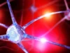 科學家發現隱藏的大腦營養缺乏可能會增加焦慮