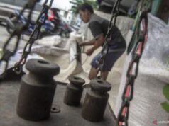 結束共同敵人大米黑手黨的活動