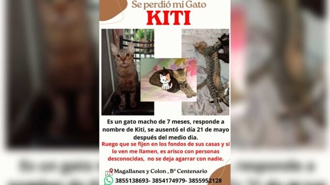 aviso-553404-114355.jpg