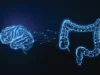 科學家發現了引發蛋白質渴望的隱藏腦腸迴路