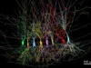 科學家發現,大腦一開始並不是空的,而是滿的