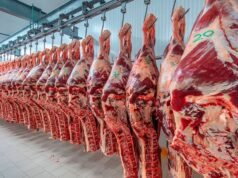 肉類出口:希爾頓配額現已開放註冊