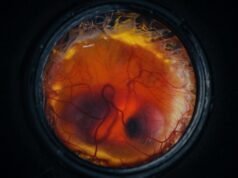 Colossal Biosciences 表示已在人工環境中孵化小雞