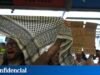 Global Sumud 船隊工人抵達畢爾巴鄂機場後舉行的活動