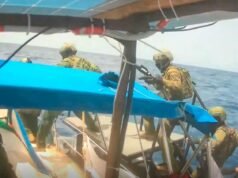 以色列攔截前往加薩的人道艦隊,逮捕愛爾蘭總統的妹妹