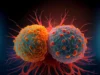 科學家提出有關維生素 B12 和癌症的新問題