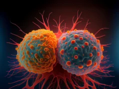 科學家提出有關維生素 B12 和癌症的新問題