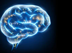 科學家創造出一種超強維生素 K,幫助大腦自我修復
